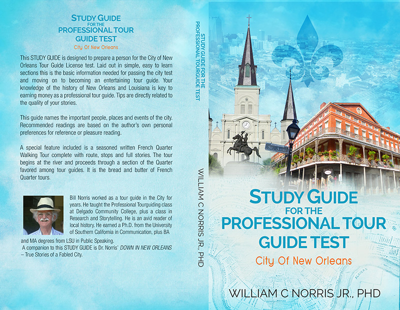 Diseño de portada de libro por jshan para este proyecto | Diseño #13135423