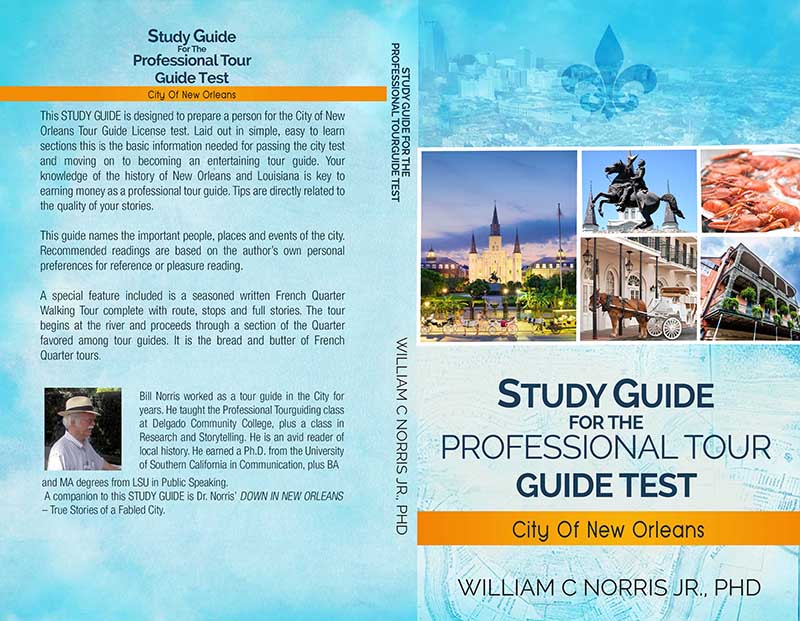 Diseño de portada de libro por jshan para este proyecto | Diseño #13168483