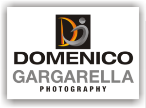 Logo Design by atifamin24 for this project | Design: #13151598