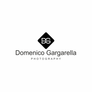 Logo Design by valkadin