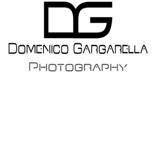 Logo Design by paola_ ten_ thousand _branches for this project | Design: #13082774