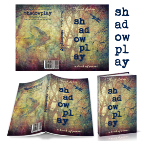 Book Cover Design by Rio
