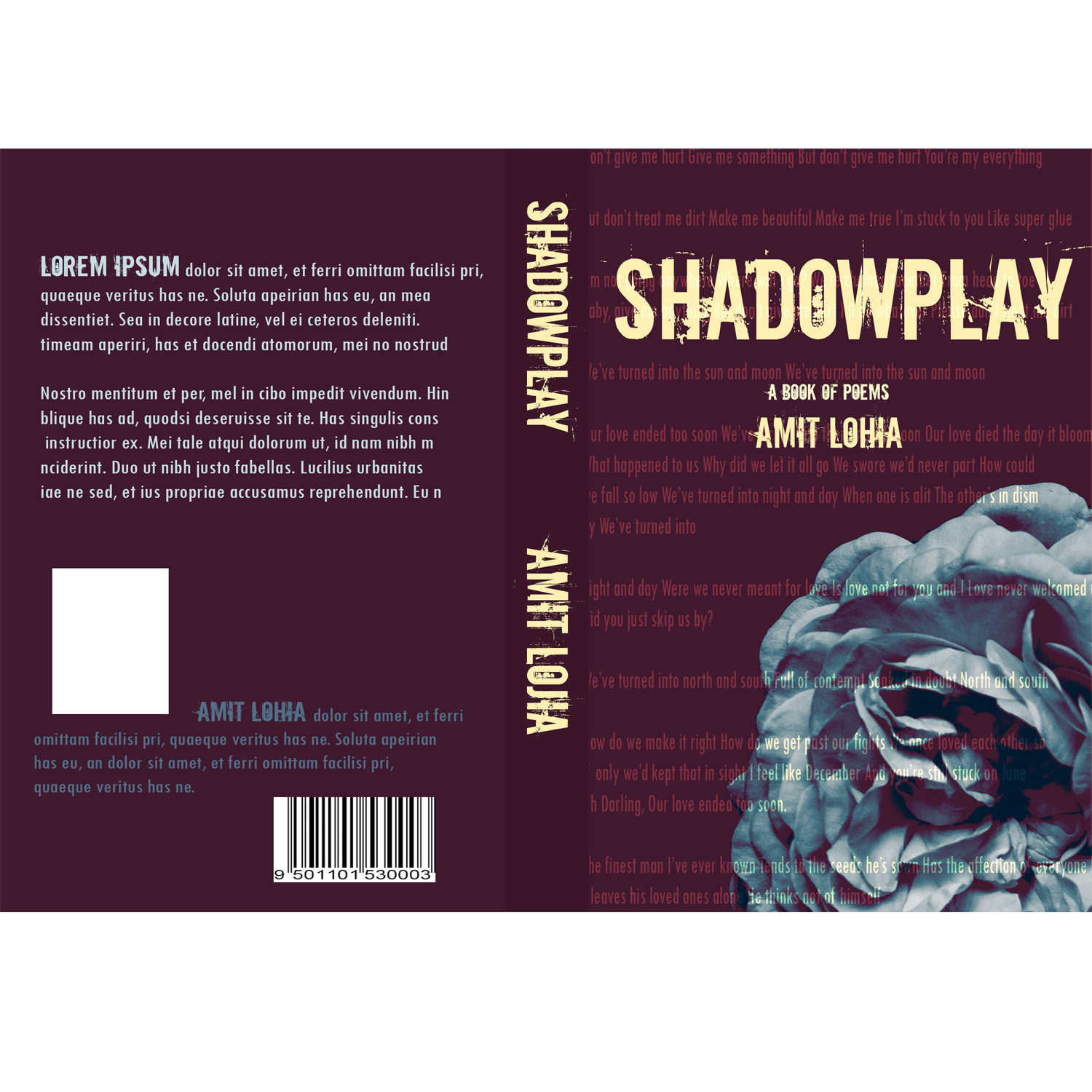 Book Cover Design by CarleyA for this project | Design #13107317