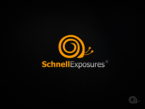 Logo-Design von REDcrackers.com für dieses Projekt | Design: #534090