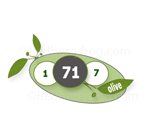 Logo Design by Redberryfrog .com