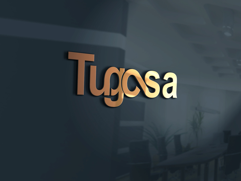 Design de Logo par Top king  designer pour ce projet | Design #13080614