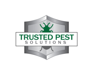 Logo Design by dshineart