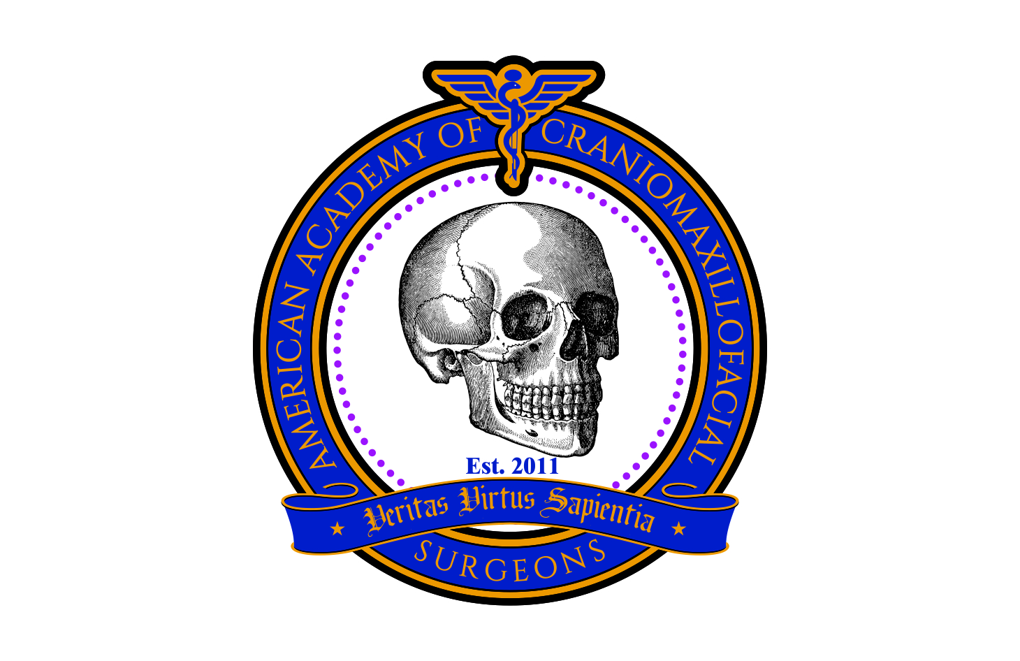Logo Design by fespi for craniofacial consulting | Design #13472404