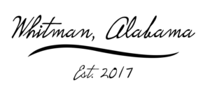 Logo Design by rjjam497