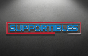 Logo Design by Mehedi Hasan ™ for SEO TWIST, Inc. | Design: #13095374