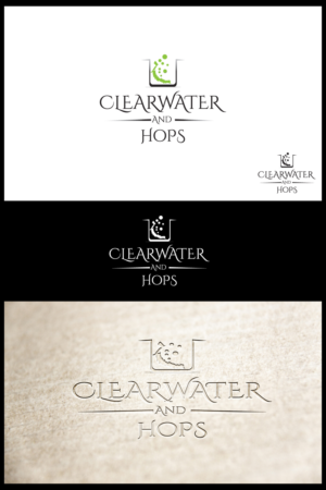 Logo Design by Mr Designer