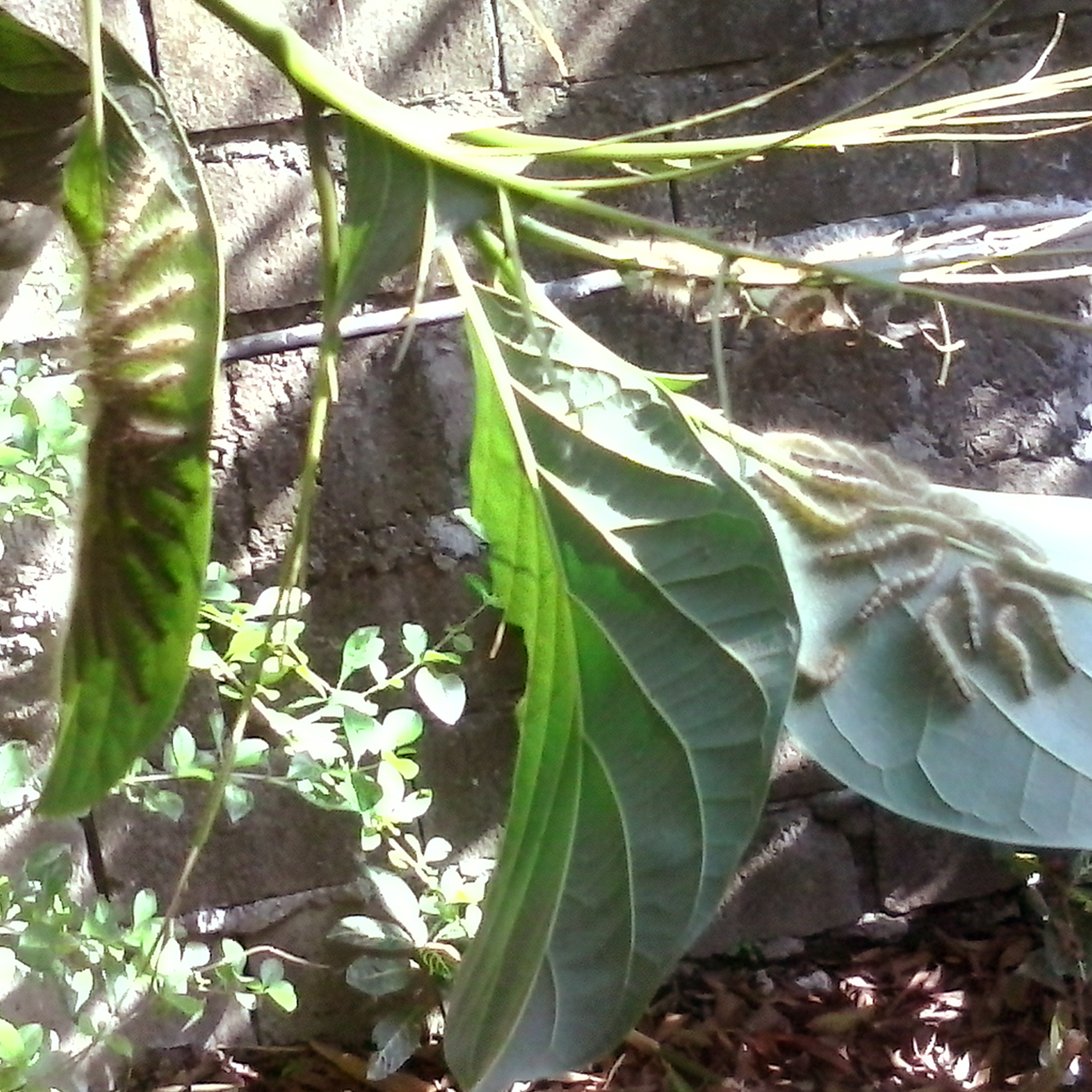 Photography by sheehan_demetillo for DesignCrowd (Community Contests) | Design #13242501