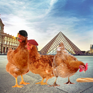 Photoshop Design by jacktwilkins