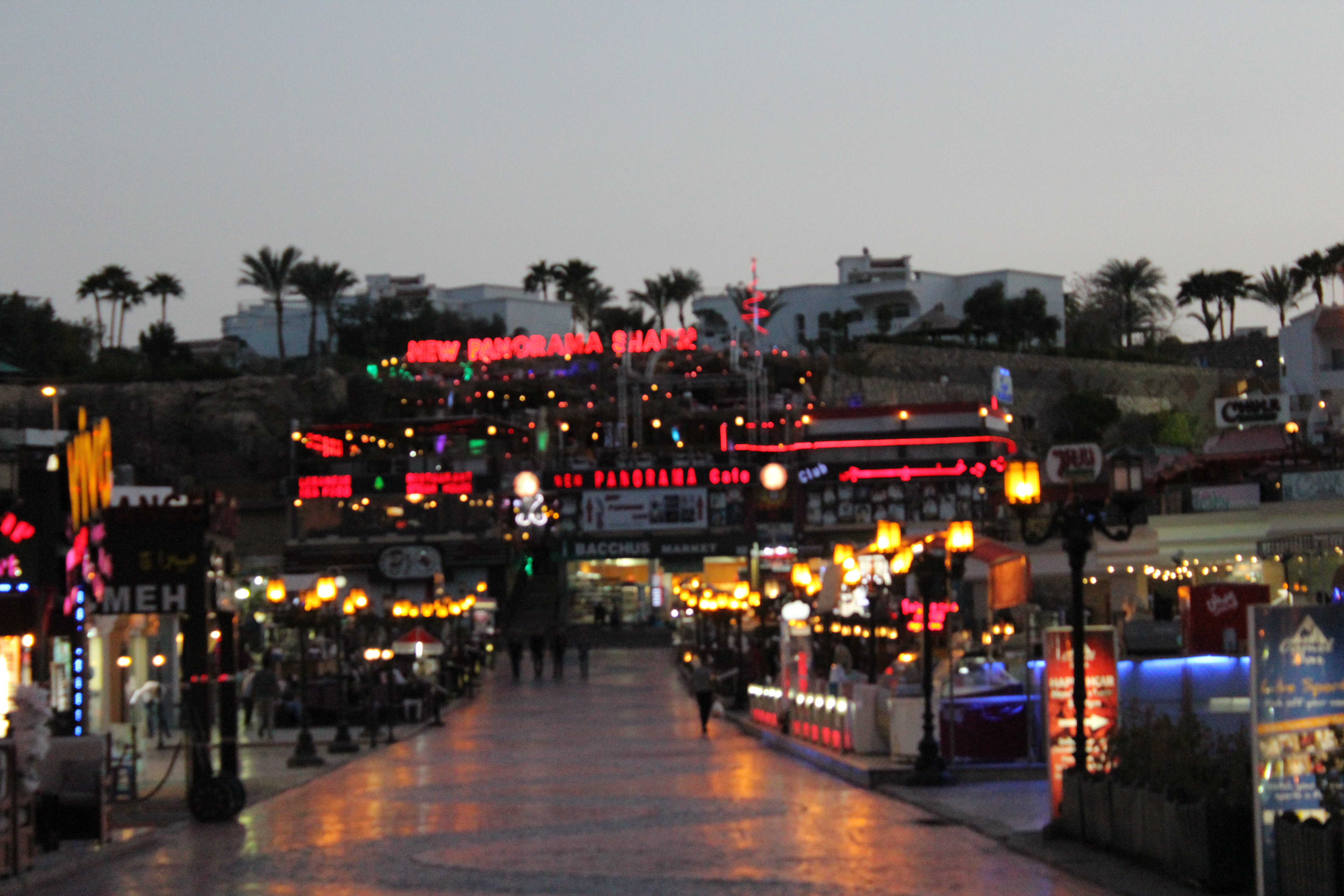 Photography by Ahmed Alashry for DesignCrowd (Community Contests) | Design #13106054