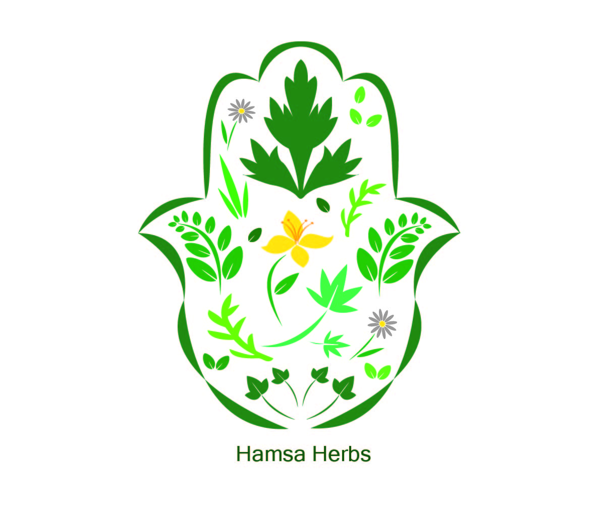 Design de Logo par Hafsauygun pour ce projet | Design #13178946