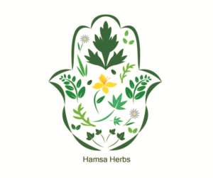 Logo Design by Hafsauygun