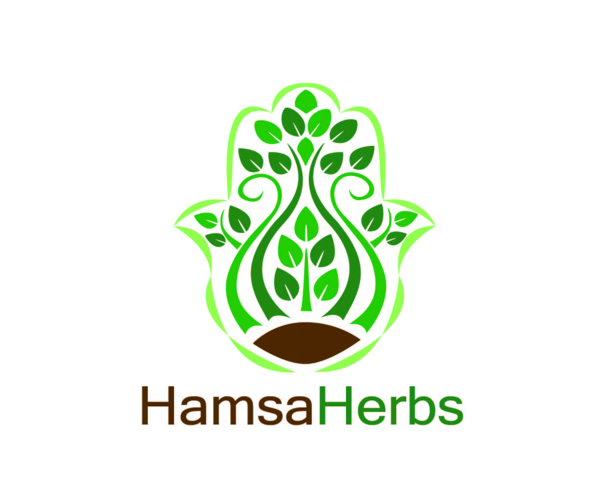 Design de Logo par Hafsauygun pour ce projet | Design #13209564