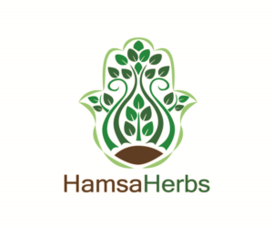 Design de Logo par Hafsauygun pour ce projet | Design #13209564