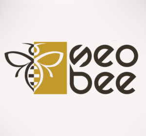 Diseño de Logo por quachystuff para DomainStar Ltd | Diseño: #13197870