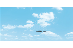 Logo Design by Katya for this project | Design: #2474122