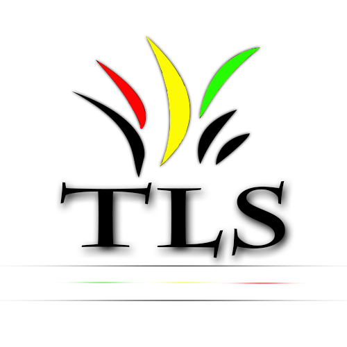 Logo Design by danyalketary for Traffic & Lighting Systems | Design #13366528