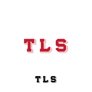 Logo Design by golotadesign for Traffic & Lighting Systems | Design: #13298570