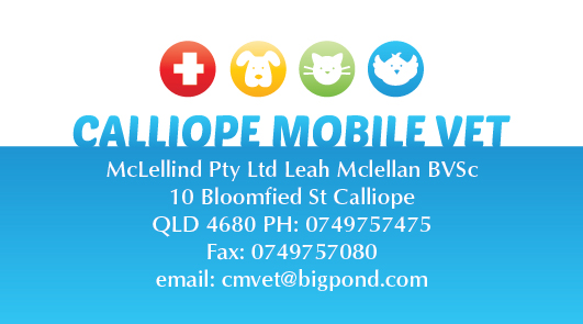 Business Card Design by Irina Makedonska for this project | Design #2451329