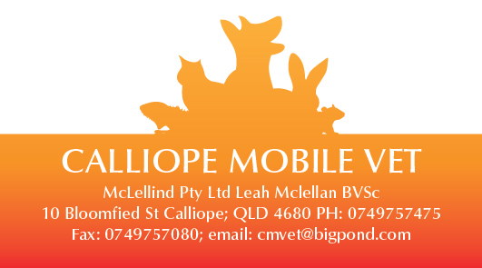 Design de Carte de Visite par Irina Makedonska pour ce projet | Design #2451331