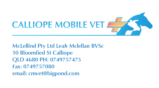 Business Card Design by Irina Makedonska for this project | Design #2454069