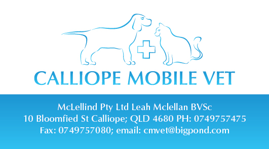 Design de Carte de Visite par Irina Makedonska pour ce projet | Design #2454690