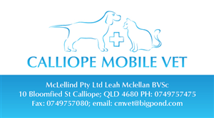 Business Card Design by Irina Makedonska for this project | Design: #2454690