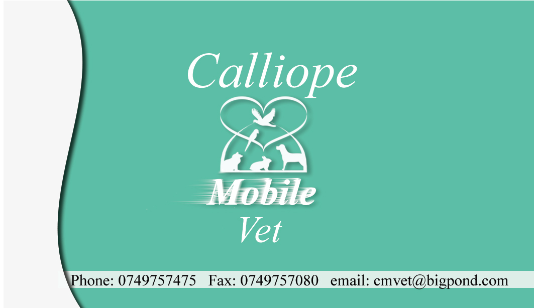 Business Card Design by Melissa1111 for this project | Design #2457412