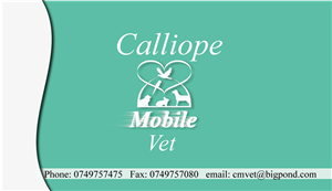 Business Card Design by Melissa1111 for this project | Design: #2457412