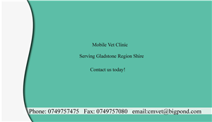 Business Card Design by Melissa1111 for this project | Design: #2457417
