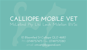 Business Card Design by Fabio Santaniello for this project | Design: #2454137
