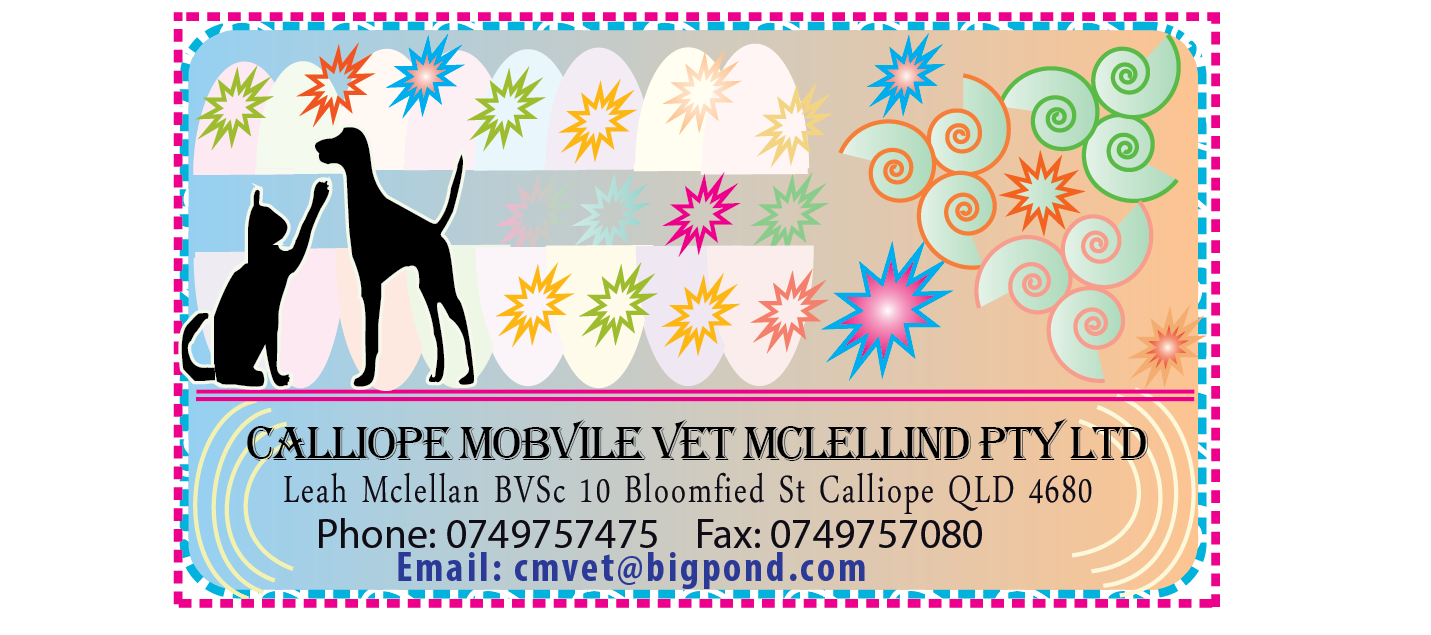 Business Card Design by Minhaj for this project | Design #2456625