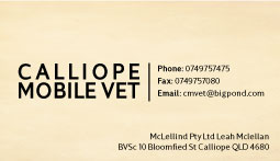 Business Card Design by Oussema for this project | Design #2455861