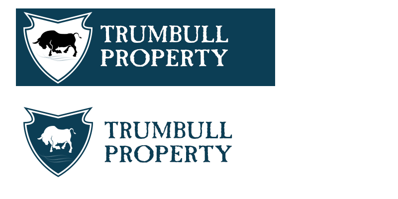 Logo-Design von  Andy Dollinger für dieses Projekt | Design #2449499