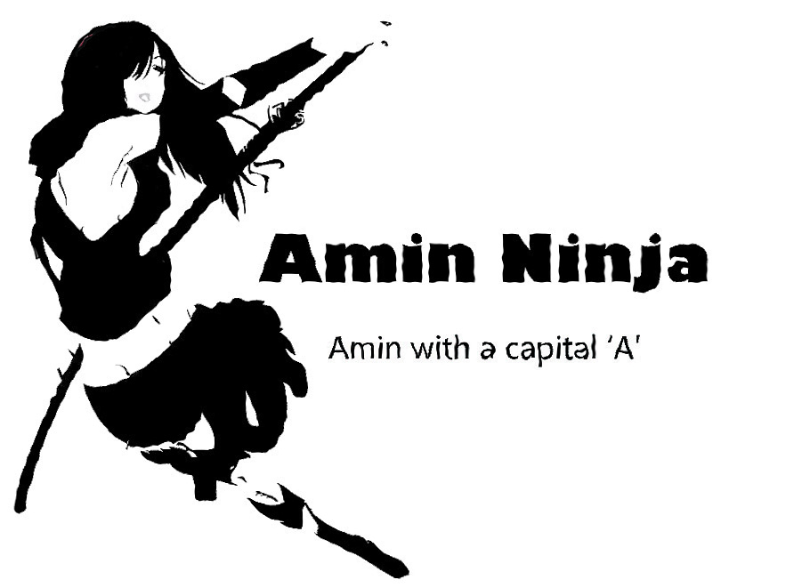 Design de Logo par Saxon Illustrations pour Admin Ninja | Design #2484887