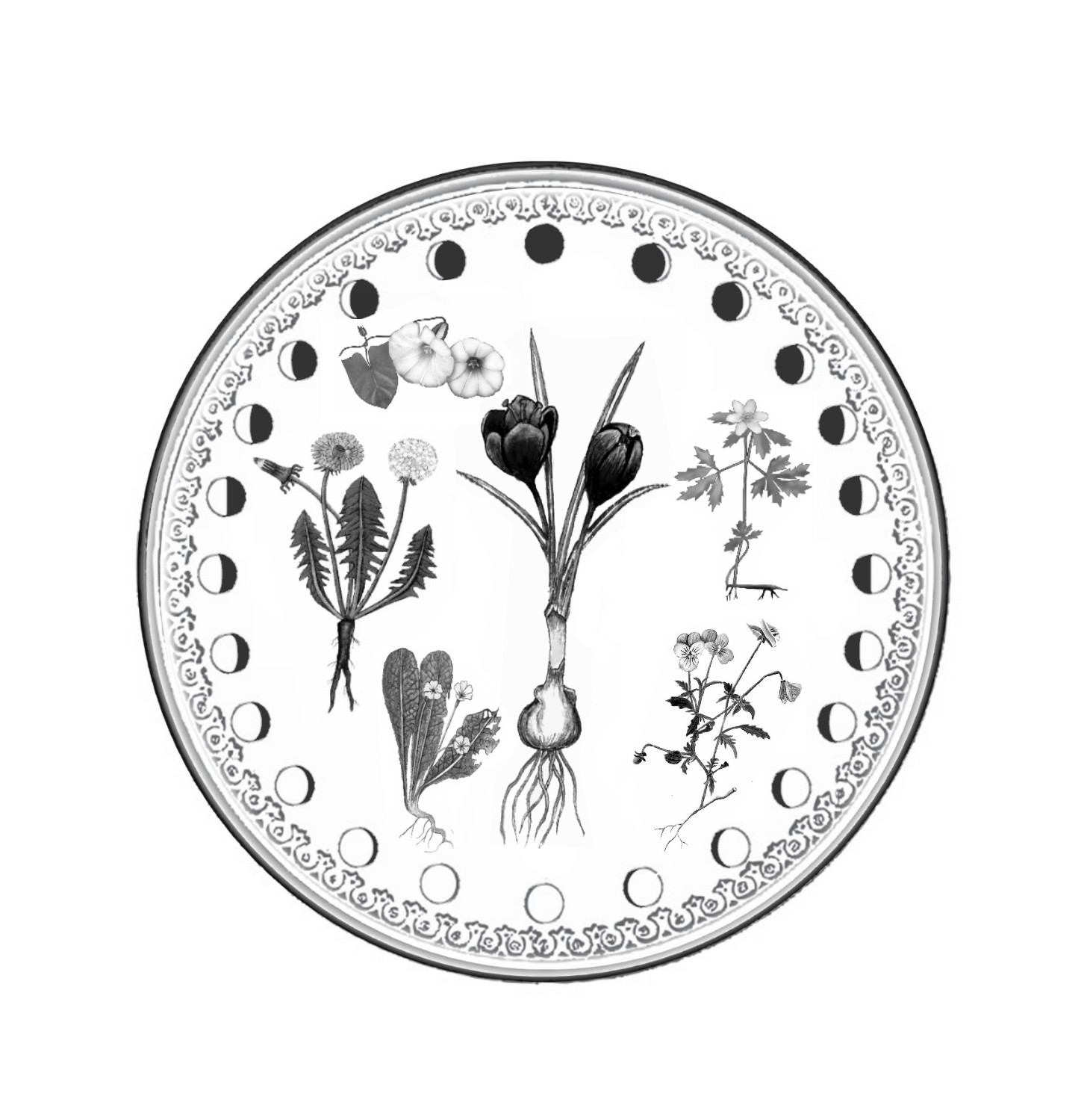 Logo-Design von designerone für Beautiful Inspirations Photography | Design #13140094