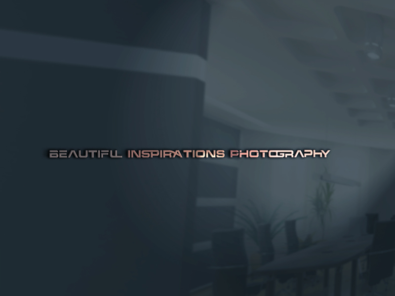 Logo Design by Top king  designer for Beautiful Inspirations Photography | Design #13137846