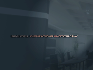 Logo-Design von Top king  designer für Beautiful Inspirations Photography | Design: #13137846