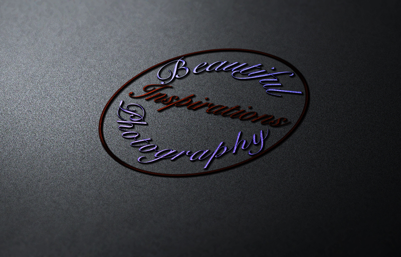 Logo Design by Top king  designer for Beautiful Inspirations Photography | Design #13154605