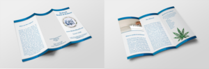 Flyer Design by bsnwb1