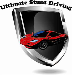 Logo Design by Mike Angel