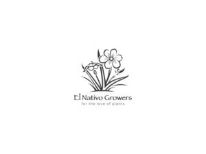 Logo Design by Neil for this project | Design: #13146854