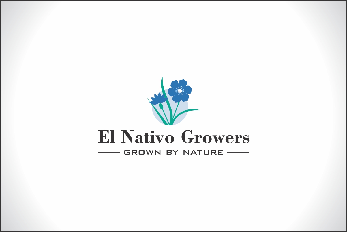 Diseño de Logo por Robert Macwan para este proyecto | Diseño #13157290