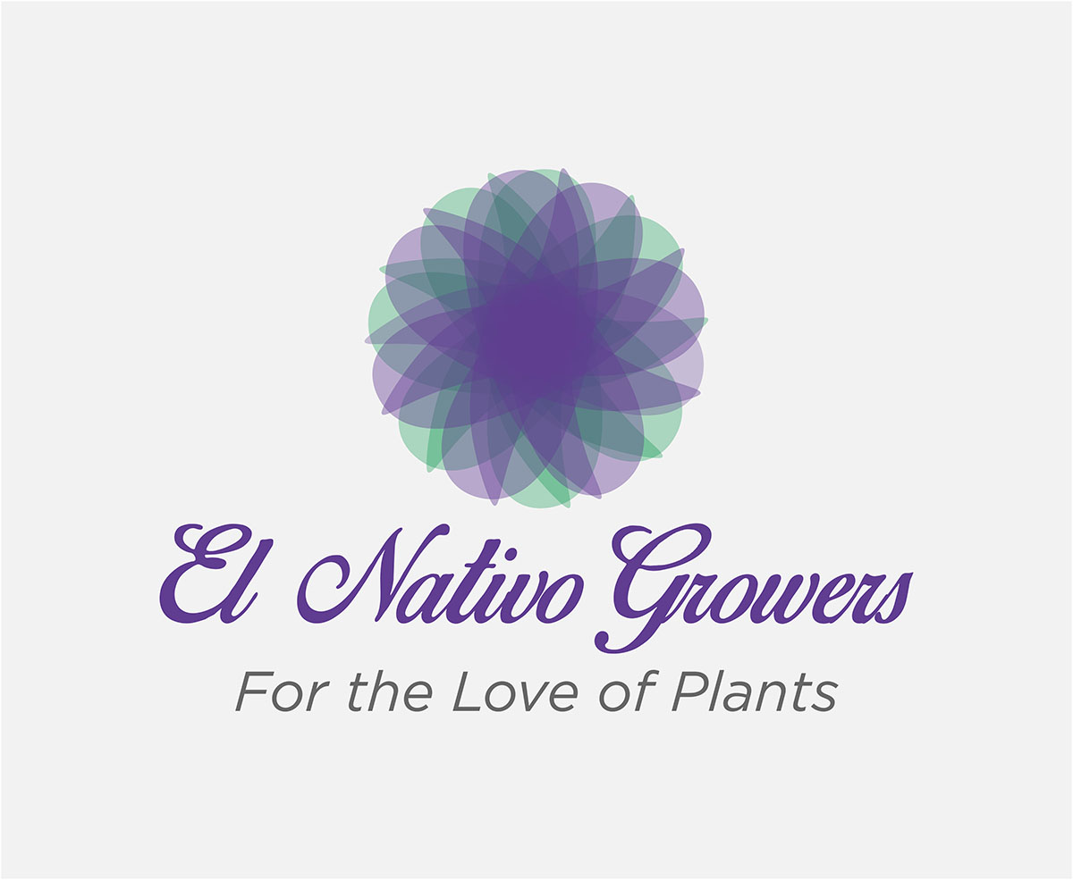 Logo Design by emdeee for this project | Design #13144149