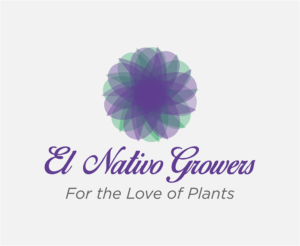 Logo Design by emdeee for this project | Design: #13144149