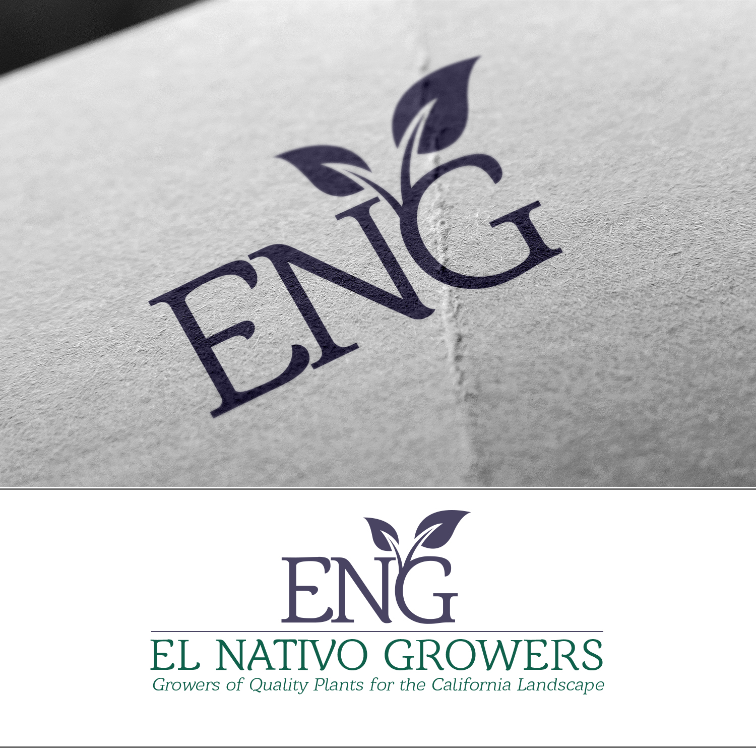 Logo Design by rcuadillera for this project | Design #13143025